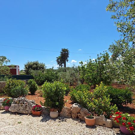 Apartamento Baciati Dal Sole Martina Franca Exterior foto